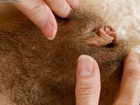 Hairy Mature Woman Hazel May With Slim Figure Displays Her Bare Ass And Furry Pussy