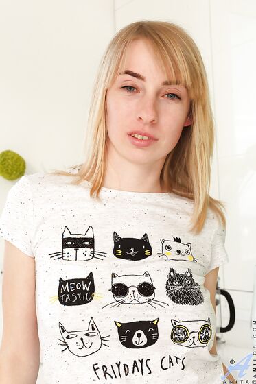 Kedi kedi